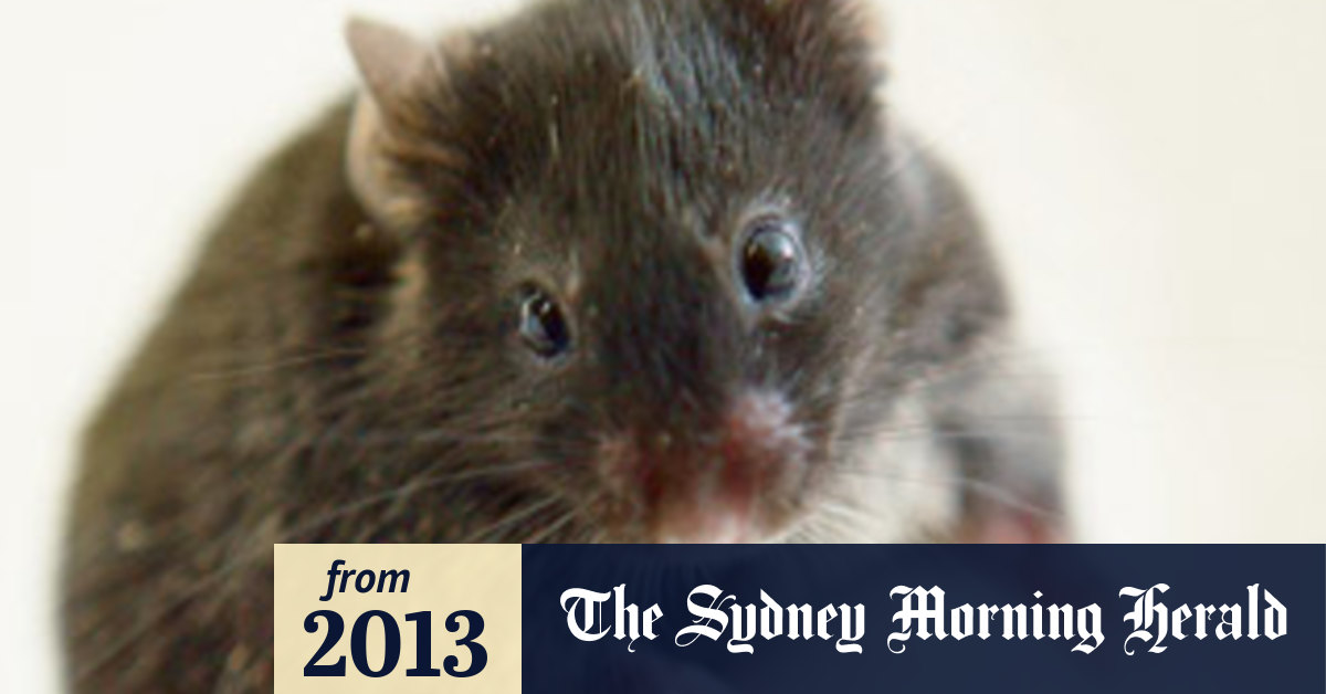 Scientists find way to make ageing clock stop ticking